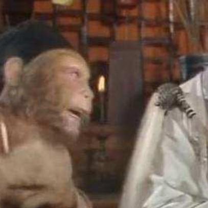 方寸对决卡组搭配攻略:打造无敌阵容,掌握胜局关键 方寸对决卡组搭配攻略:打造无敌阵容,掌握胜局关键