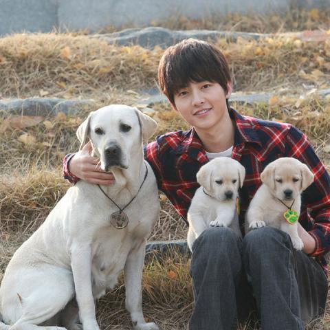 热门战争游戏盘点：人气巅峰之作推荐，深度解析玩家必玩佳作