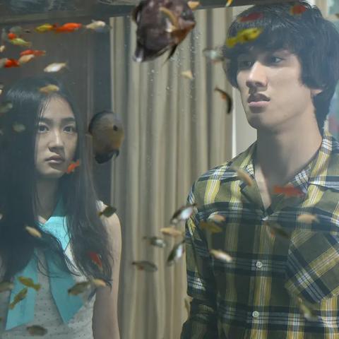 重温经典！怀旧岁月31攻略，轻松解锁游戏新境界