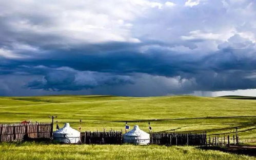 幽谷草原25关轻松通关!伙伴弹途攻略秘籍大揭秘 幽谷草原25关轻松通关!伙伴弹途攻略秘籍大揭秘