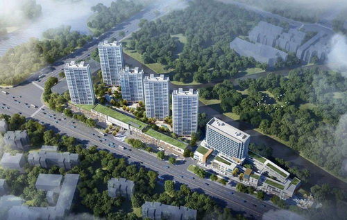 十大热门疫病爆发模拟游戏，体验沉浸式防疫挑战！