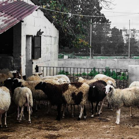 热门消除游戏盘点:揭秘哪些新晋爆款最吸引玩家目光 热门消除游戏盘点:揭秘哪些新晋爆款最吸引玩家目光