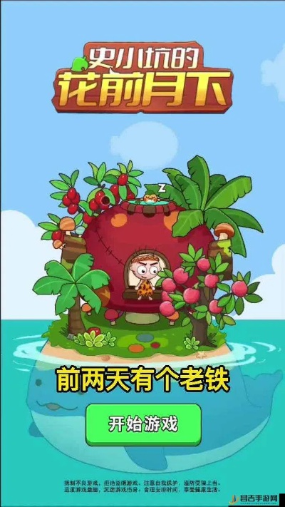 元素反应攻略解析：史小坑花前月下必看技巧揭秘