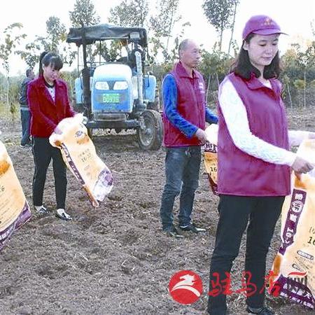 解忧村攻略：养成居民必备技巧大揭秘