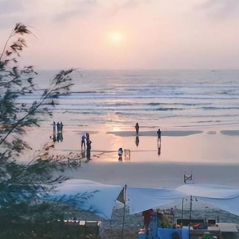 独家揭秘!重建生存营地兑换码2025,获取最新兑换秘籍攻略 独家揭秘!重建生存营地兑换码2025,获取最新兑换秘籍攻略