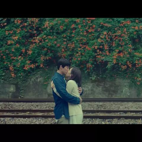 四叶草剧场接力赛必胜攻略，解锁全新游戏技巧！