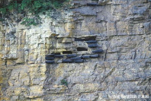 无人机技能深度揭秘:弹壳特攻队攻略指南 无人机技能深度揭秘:弹壳特攻队攻略指南