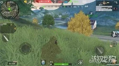 红柳+超武开荒必胜攻略，掌握生存战争核心技巧