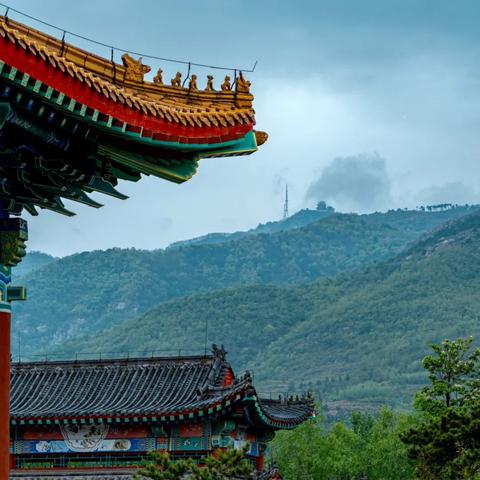 沉浸体验至上！盘点热门沉浸式游戏，解锁全新游戏乐趣