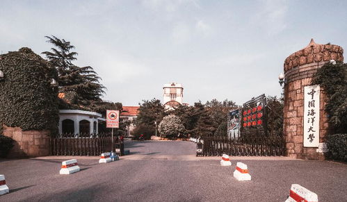 十大耐玩首选！揭秘最佳第一人称游戏，畅玩体验不容错过