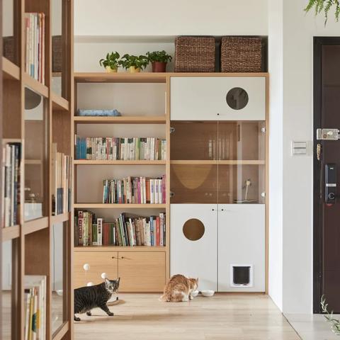 热门猫游戏盘点：精选趣味猫类游戏推荐