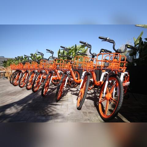 即时暂停游戏盘点：热门排行榜前十，畅玩不停歇！