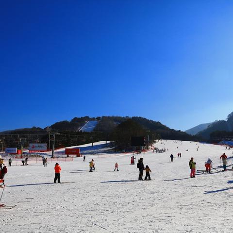 人气爆棚！精选自行车游戏，畅玩骑行新体验
