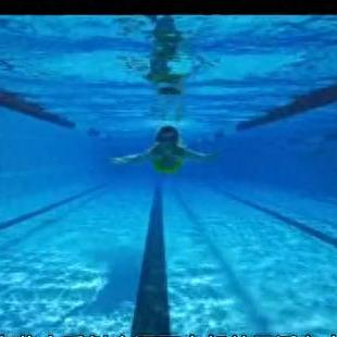 2024年度热门水底游戏盘点：下载排行揭秘，沉浸体验新高度