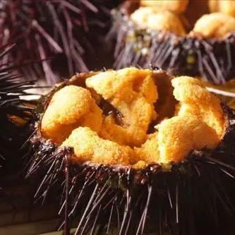 纵轴游戏盘点：揭秘十大经典之作，重温经典游戏时光