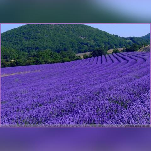 热门唯美游戏盘点：揭秘十大最受欢迎的视觉盛宴