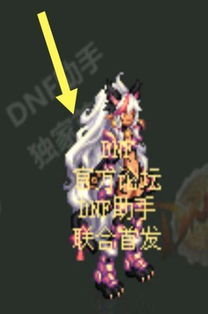 《以闪亮之名》时装斑斓度大提升！独家秘籍解锁斑斓秘境