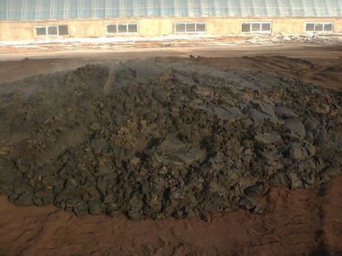 猪粪妙用攻略：解忧小村落高效利用技巧揭秘