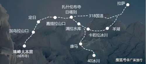 解忧村伐木点攻略：高效路线解锁秘籍