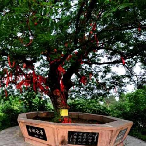 东汉名臣登场时间地点一览，解锁无悔华夏历史瞬间