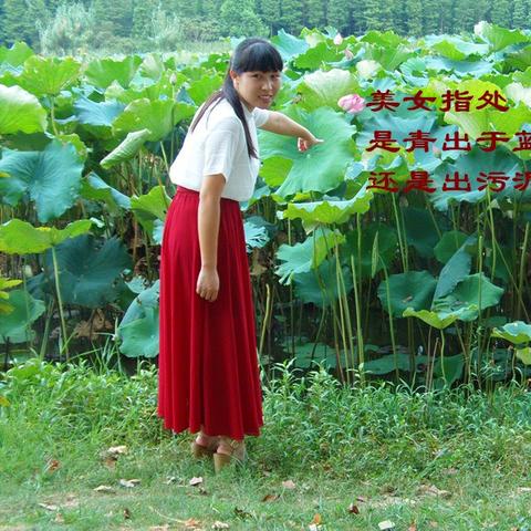 热门一指视角游戏盘点：揭秘高人气热门排行新风向