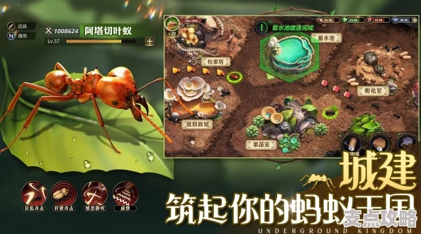 地下蚁国兑换码大揭秘：2025全新兑换秘籍集锦