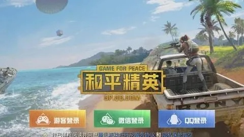 和平精英PC版下载攻略，解锁全新游戏体验