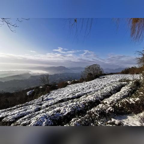 暖雪兑换码大揭秘：2025年最新兑换码全收录