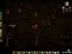 寂静岭驯狐师奖杯解锁攻略,高效达成新技巧揭秘 寂静岭驯狐师奖杯解锁攻略,高效达成新技巧揭秘