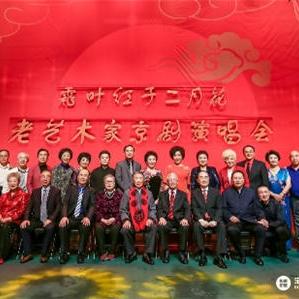 长安幻想结缘攻略：深度解析如何精准选择，解锁游戏新境界