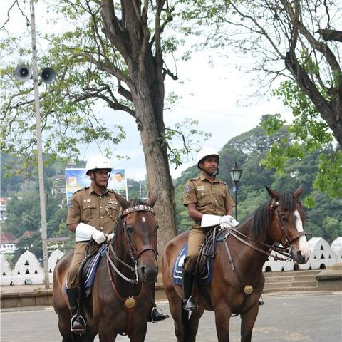 暖雪猛虎之印解锁攻略，圣物获取技巧解析