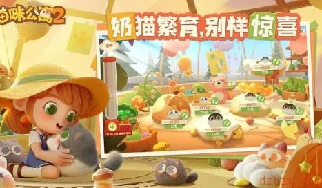 猫咪公寓2玩具攻略:揭秘独特获取新玩法 猫咪公寓2玩具攻略:揭秘独特获取新玩法