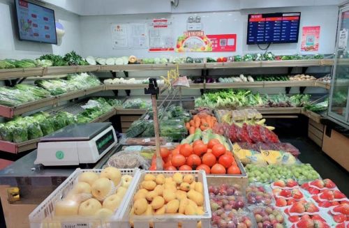 猫咪公寓2水果店经营秘籍:高效盈利攻略全解析 猫咪公寓2水果店经营秘籍:高效盈利攻略全解析