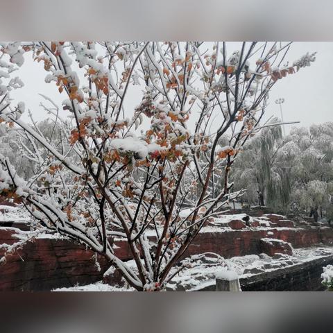 暖雪大师皮肤解锁攻略：揭秘高效获取新途径