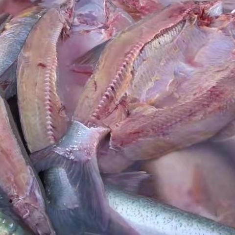 咸鱼之王6000关后强推阵容揭秘：打造后期无敌阵容攻略