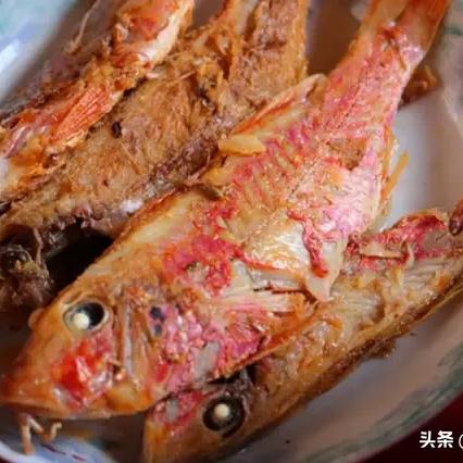 咸鱼之王红鱼获取攻略：高概率必出秘籍大揭秘