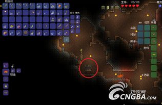 勇者安朵斯祭坛攻略:深度解析,高效通关秘籍大公开 勇者安朵斯祭坛攻略:深度解析,高效通关秘籍大公开