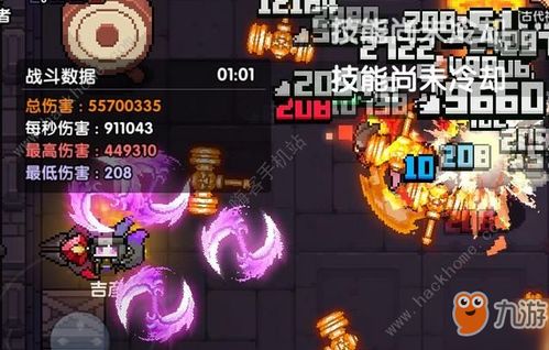 勇者双仙花牧武器攻略:深度解析最佳选择秘籍 勇者双仙花牧武器攻略:深度解析最佳选择秘籍