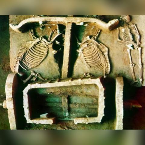 文明征服备战区攻略:解锁独特进入机制秘籍 文明征服备战区攻略:解锁独特进入机制秘籍