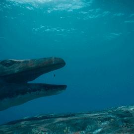 怪兽星球2魔王攻略:高效获取怪兽秘籍大揭秘 怪兽星球2魔王攻略:高效获取怪兽秘籍大揭秘