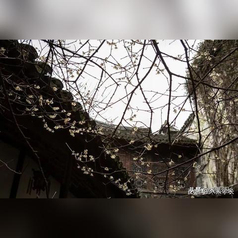 水乡芳华录元宝高效攻略：解锁财富新境界