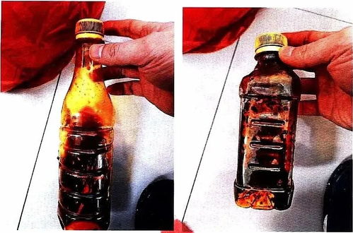 咸鱼之王罐子号打造攻略：盐罐小号高效培养技巧揭秘