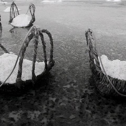 咸鱼之王吴国PK阵容攻略：竞技场最强搭配揭秘！