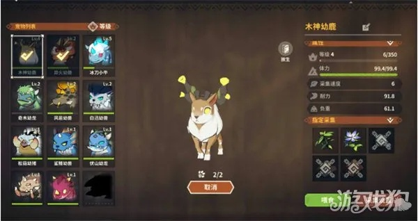 狩猎时刻坐骑挑选攻略：宠物搭配技巧大揭秘