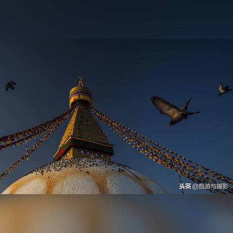 猫之城空间道具精选攻略:破解侵蚀之秘,最强搭配推荐 猫之城空间道具精选攻略:破解侵蚀之秘,最强搭配推荐