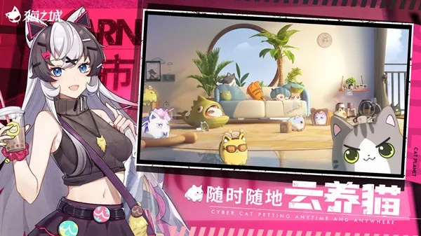 猫咪养成秘籍：猫之城如何打造完美萌宠