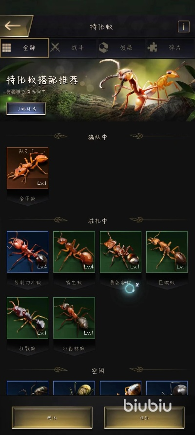 小小蚁国兵蚁高效培育秘籍大公开