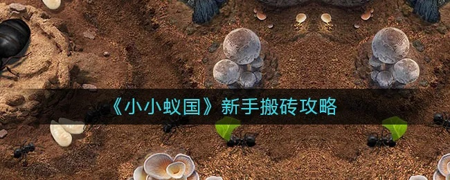小小蚁国高效搬砖攻略：快速打金技巧深度解析