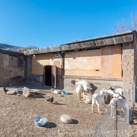 羊了个羊道具无限获取技巧,解锁全新游戏体验攻略 羊了个羊道具无限获取技巧,解锁全新游戏体验攻略