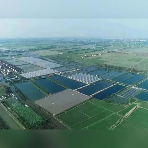 农场镇循环回收秘籍：全新任务流程解析